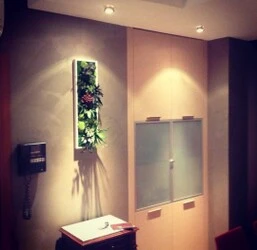 Immagine Sandri Fulvio Pitture Decorative